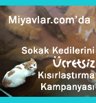 miyavlar.com