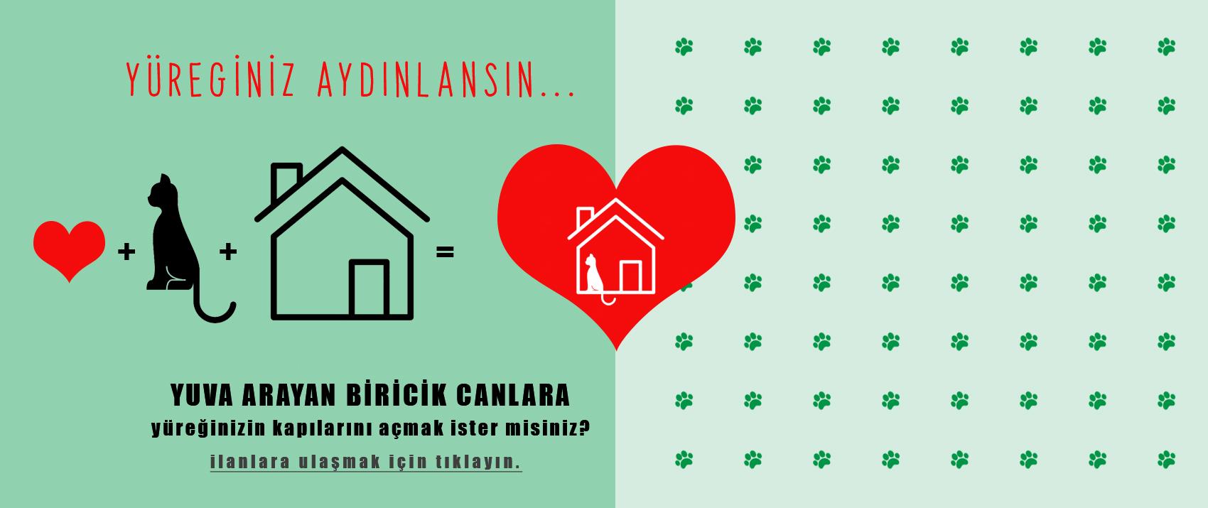 YÜREĞİNİZ AYDINLANSIN