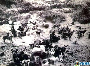 hayirsiz-ada.jpg