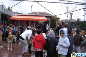 avrupakoleji.jpg