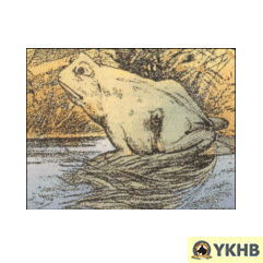 frosch-pferdekopf frosch-pferdekopf