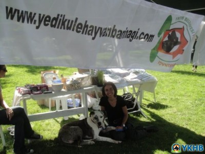 bebek şenlik 006 bebek şenlik 006
