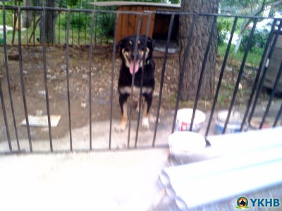 hamdi3